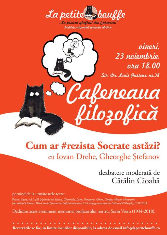 46249122_333161170812493_203906690523856896_n